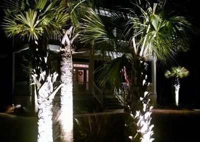 Three palm trees illuminated by lights at night, with a house and porch visible in the background.